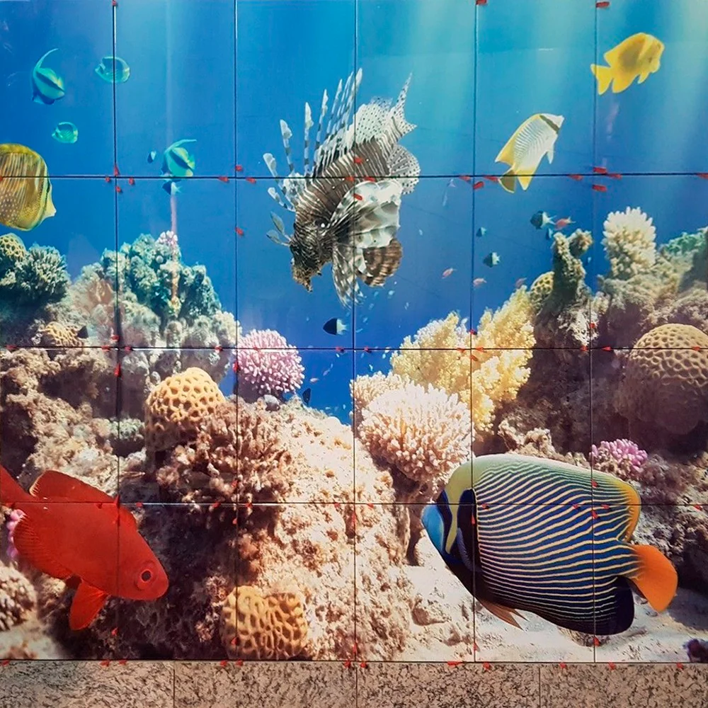 Fotofliesen Korallenriff tropische Fische – Keramikfliesen individuell bedruckt