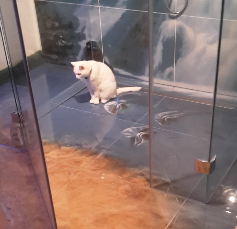 3D-Glasfliesen Dusche Badezimmer anthrazit Floralmuster – Kundenprojekt | 7color